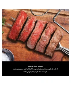 سرخ کن گریل نینجا مدل OG901